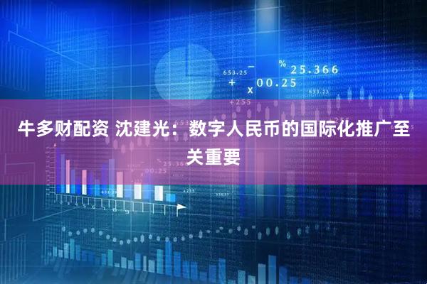 牛多财配资 沈建光：数字人民币的国际化推广至关重要