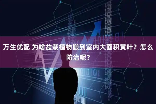 万生优配 为啥盆栽植物搬到室内大面积黄叶？怎么防治呢？